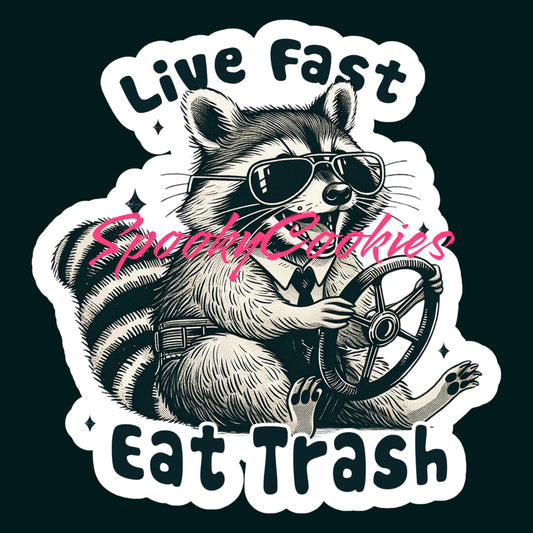 Live Fast, Eat Trash’ Sticker – Funny Raccoon Driving Meme Decal, Trash Panda Humor